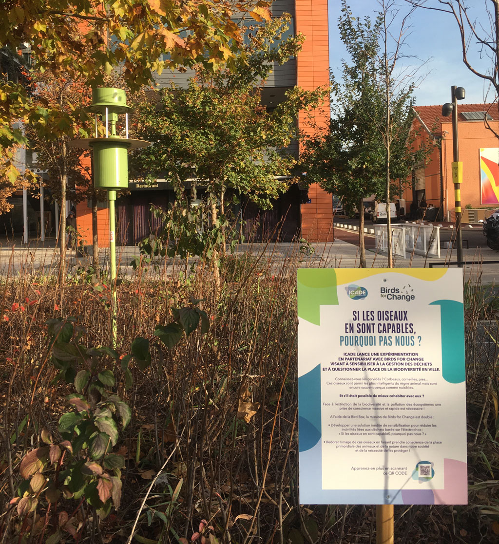 Birds for Change, une start-up basée dans les Bouches-du-Rhône prête à prendre son envol